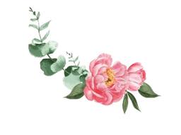 Top-right floral decoration